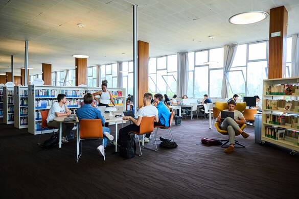 students working at the HEC library